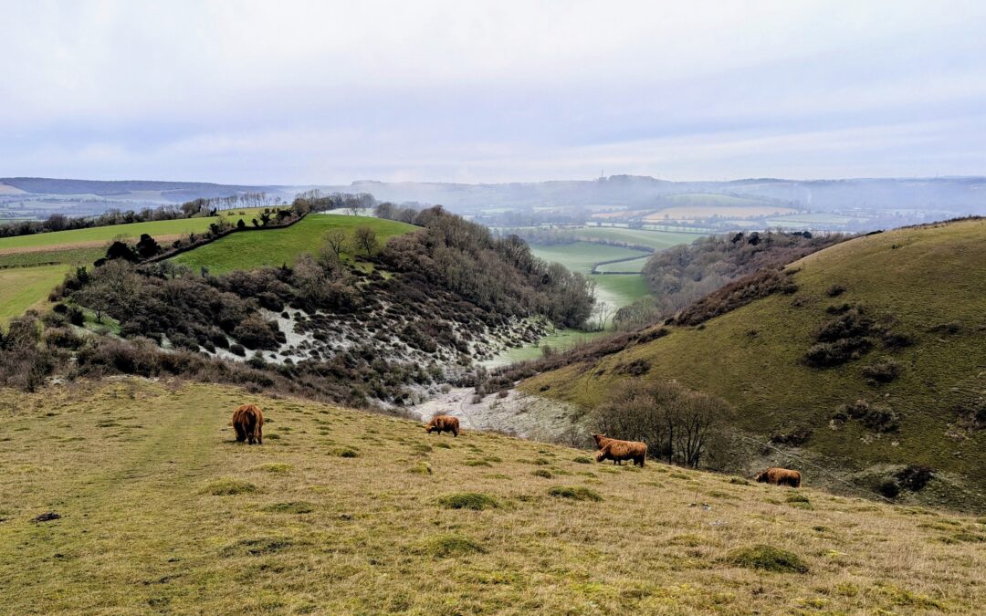 Permitted Development vs Planning Permission: What You Need to Know for Extensions & Conversions in South Downs National Park