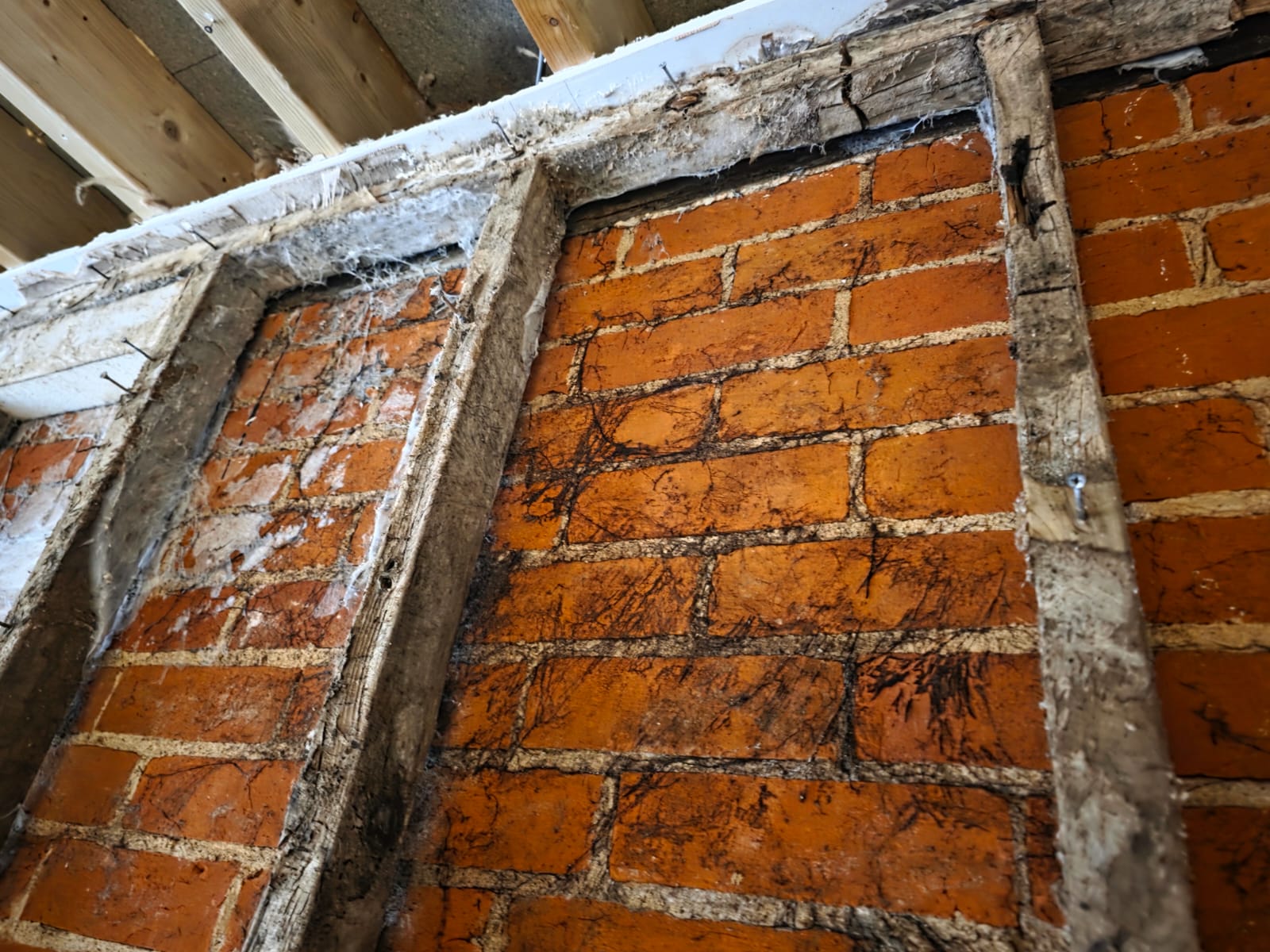 Rogate Construction - Floor Joist Repairs & Structural Support
